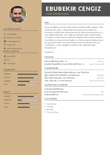 Sınıf Öğretmeni Cv Örnekleri cv indir